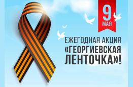 В преддверии 80-летия Великой Победы в сквере Пограничников состоялась акция "Три цвета Родины"